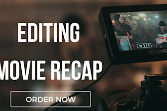make movie recap professionally for a cheap price