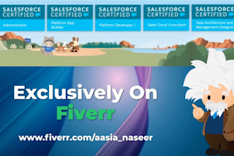 be your salesforce developer and consultant