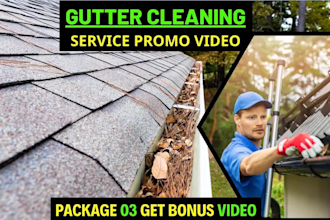 do cleaning service or gutter cleaning repair service video