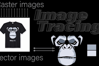do ultra quality logo tracing, cleanup, image to vector