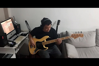 record electric reggae, rock, pop and funk bass