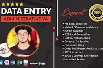 be your administrative virtual assistant VA, data entry expert, VA