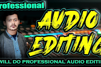 do professional audio editing and noise reduction