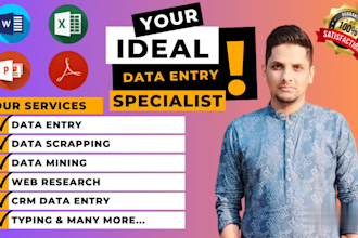 do accurate and efficient data entry tasks for you