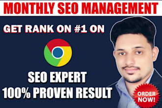 do complete monthly SEO service for shopify and wordpress