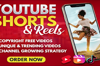 make youtube shorts, instagram reels and tiktok videos on all niches