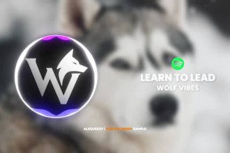 make custom audio spectrum music visualization video