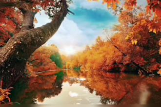 create youtube channel and 100 relaxing meditation music videos