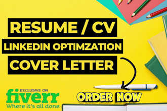 write an expert resume, CV, cover letter that gets you hired fast