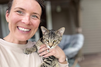 create pet ugc video ads with dogs or cats