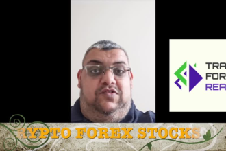 teach you how to trade forex, forex strategy, forex trading