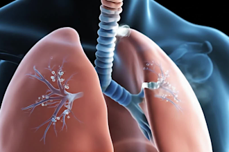 3d medical anatomy animation scientific animation pharmaceutical animation video