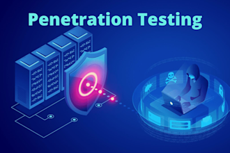 do advanced website penetration and vulnerability test