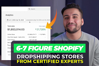 setup mentor you passive income shopify dropship store website