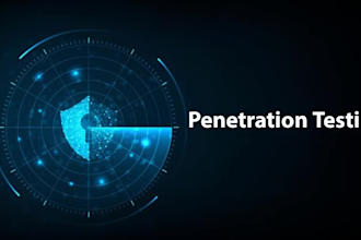 do advanced penetration and vulnerability test your website