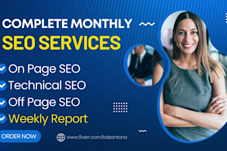 do complete monthly SEO service with off page for ranking