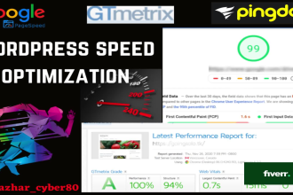 speed up wordpress websites speed optimization