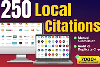 build 250 local citations manually with audit and duplicate check