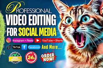 do video editing ads instagram reels, youtube shorts, tiktok podcast video