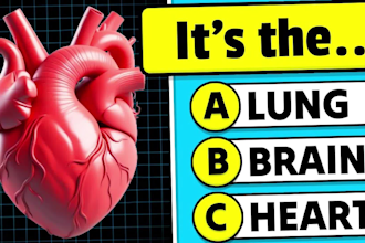 create trivia quiz videos for youtube