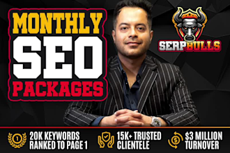 provide premium monthly SEO link building with white hat authority backlinks