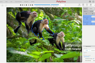 do large dataset image annotation and formatting for ai projects