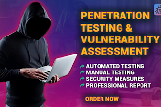 conduct website penetration testing and offer security measures