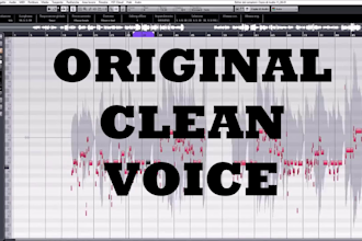 realistic autotuning, pitch correcting, edit and efx your voice