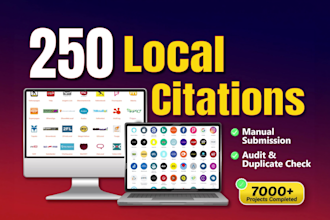 build 250 local citations manually with audit and duplicate check