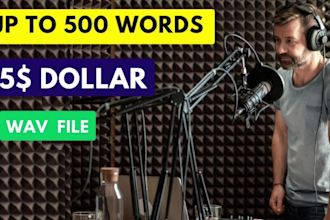 professional american english male voice over