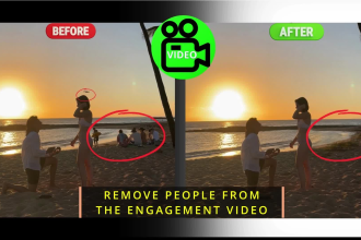 remove objects or people from your video