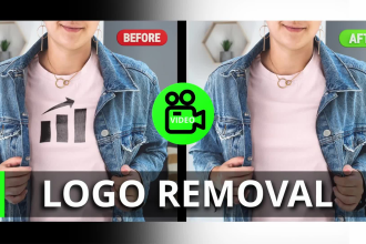 remove any logo from your video