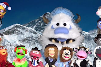 have the coolest puppets create a custom video