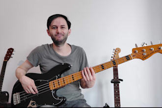 give you bass lessons online