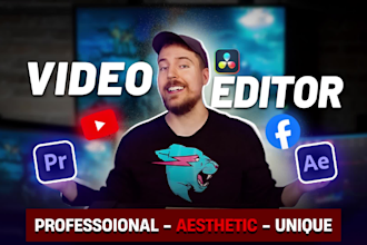 do professional video edit, youtube videos editing in 24 hours