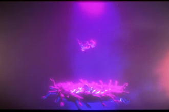 create an abstract unique music video