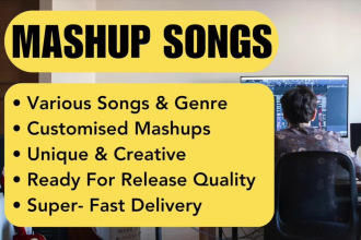 create a custom mashup from your choice of songs in 24hrs