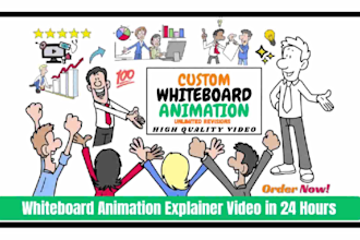 create a custom whiteboard animation or doodle explainer video