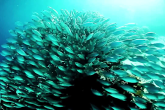 create meditation videos with instrumental music mediterranean sea clips