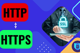 install SSL certificate and fix SSL mixed content wp website