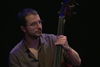 be your professional upright bass and electric bass mentor