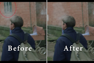remove, cleanup unwanted objects from your video
