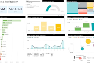make professional power bi dashboard for you