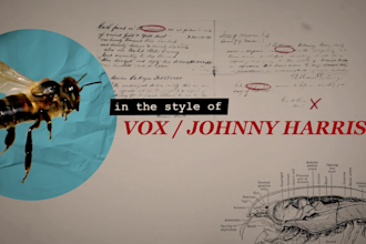 animate your video in the style of vox or johnny harris