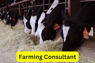 give expertly business consultancy on dairy poultry farming