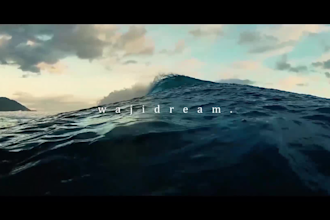 do professional cinematic video editing