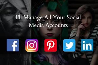 manage your social media instagram pinterest and twitter