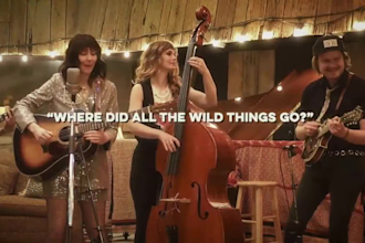 professionally sing pop, folk, indie song and alternative