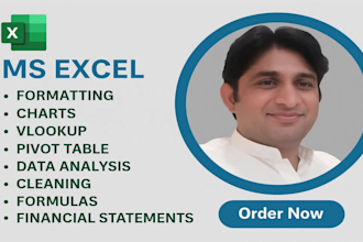 do excel data cleaning, analysis, visualization and build modern excel dashboard