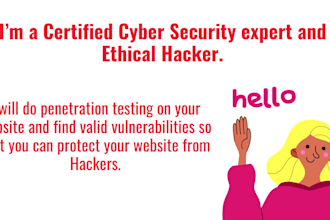 do penetration test for web app and give you detailed report
